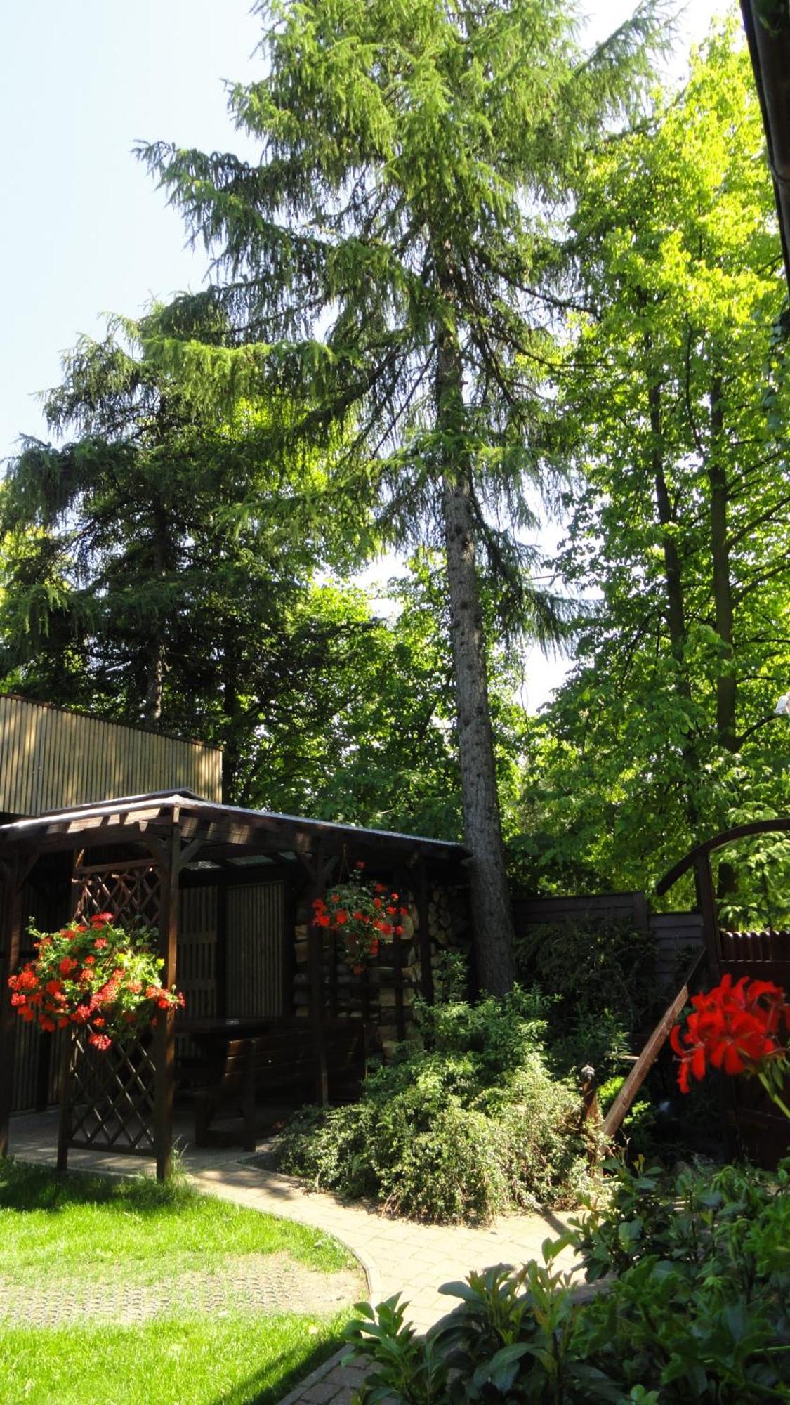 Villa Zosienka Gdansk Dış mekan fotoğraf